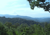 Lot #20, Evergreen Road Thumbnail